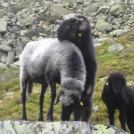 Burgstein - Alpin & Lifestyle Hotel